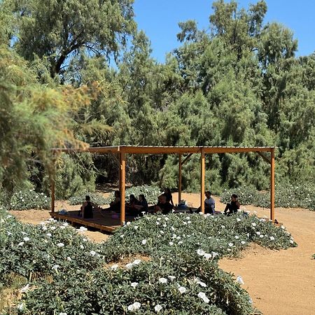 Rancho Dominique Valle De Guadalupe Buitenkant foto