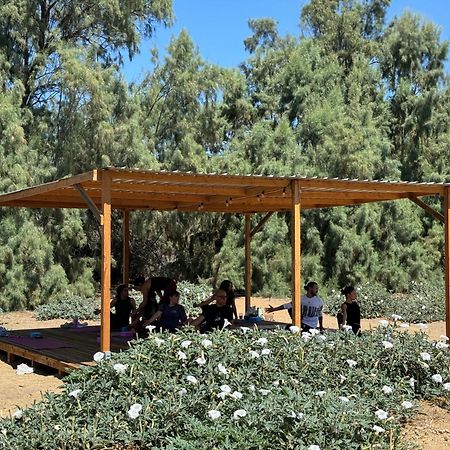 Rancho Dominique Valle De Guadalupe Buitenkant foto