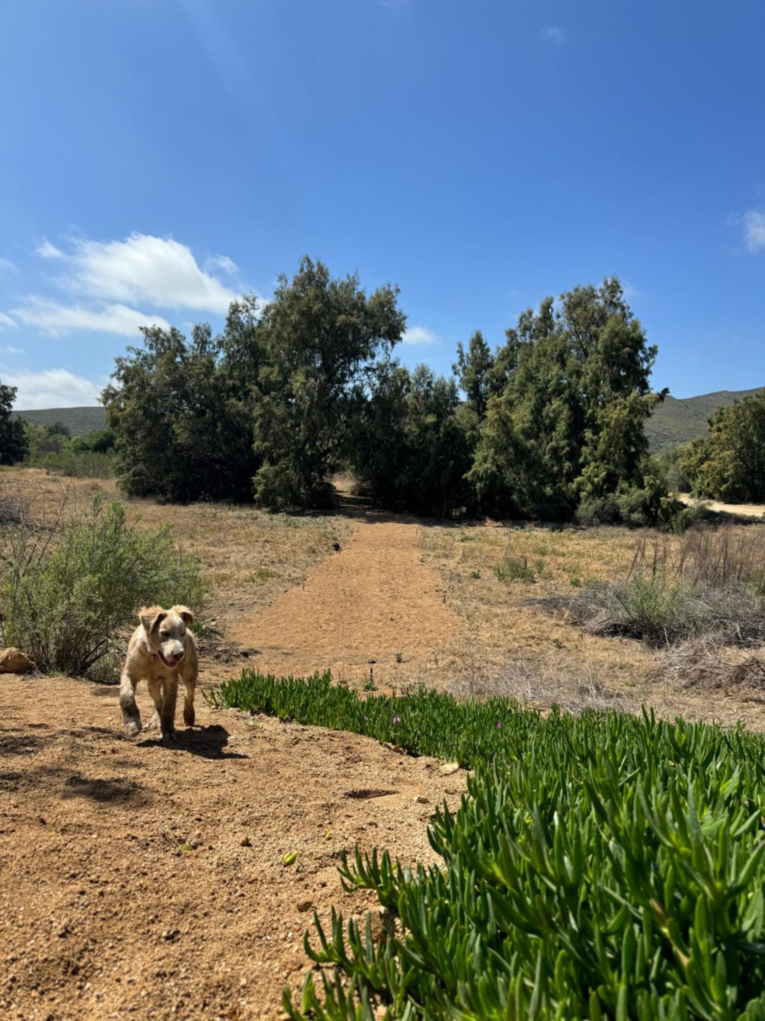 Rancho Dominique Valle De Guadalupe Buitenkant foto