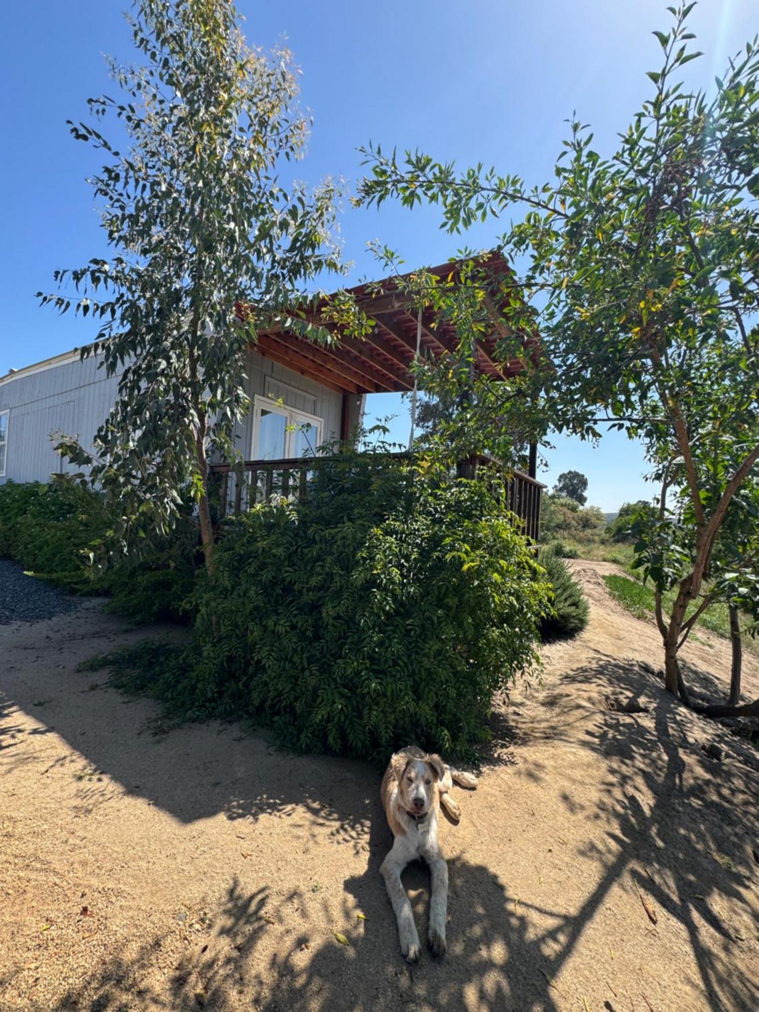 Rancho Dominique Valle De Guadalupe Buitenkant foto
