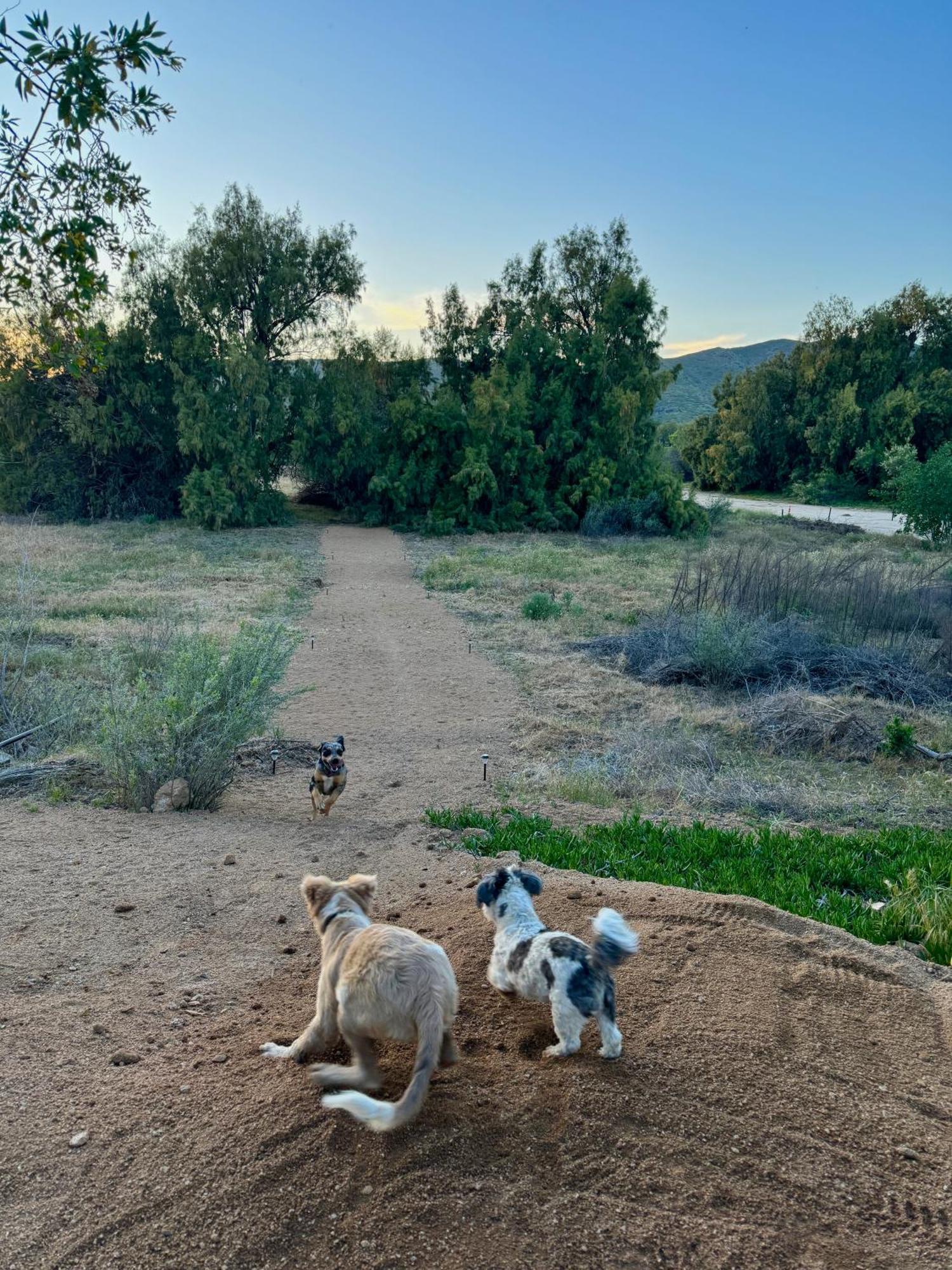 Rancho Dominique Valle De Guadalupe Buitenkant foto